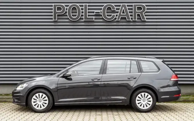 Volkswagen Golf cena 54900 przebieg: 111461, rok produkcji 2019 z Wojcieszów małe 232